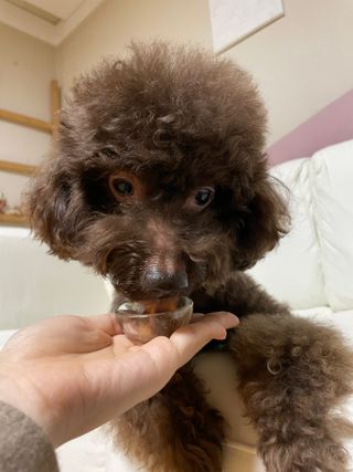 콩지님이 올린 리뷰 사진 2