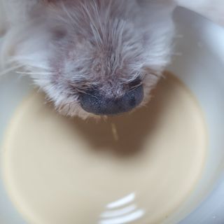 로리링님이 올린 리뷰 사진 1