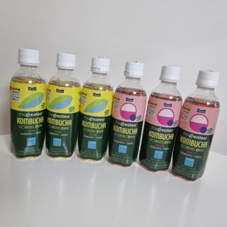 더그레잇티 콤부차 [매일유업] 더그레잇티 44kcal 콤부차 300ml *12개입 (오리지널 6개+베리리치 6개) — 5점을 준 리뷰어가 2023년 7월 올린 사용 사진