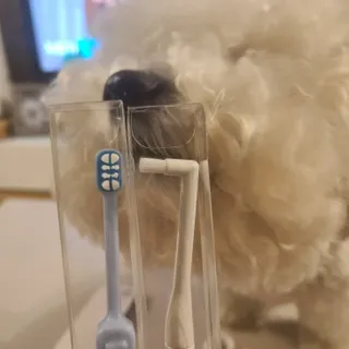 바다님이 올린 리뷰 사진 3