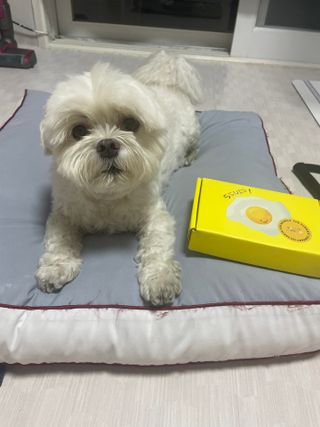 권쁜님이 올린 리뷰 사진 1