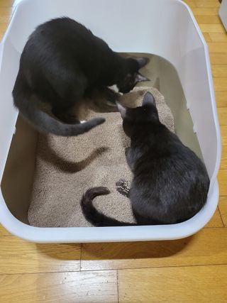 태가맘님이 올린 리뷰 사진 4
