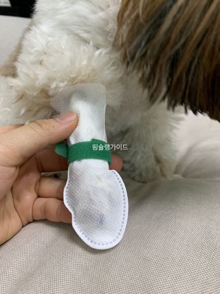 코보콩 에어슈즈 강아지 일회용 신발 소용량 패키지 20매 초경량  미끄럼방지 실내외 겸용 — 4점을 준 리뷰어가 2022년 2월 올린 사용 사진