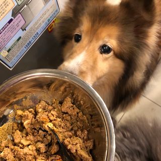 빼곰님이 올린 리뷰 사진 3