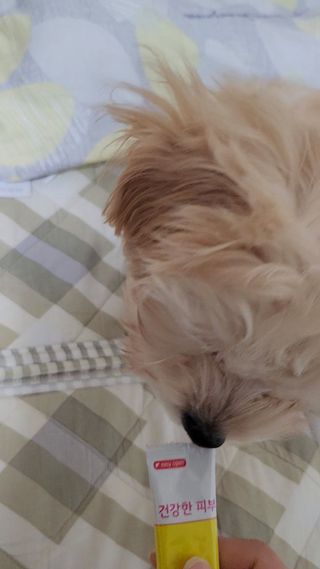 보람강님이 올린 리뷰 사진 3