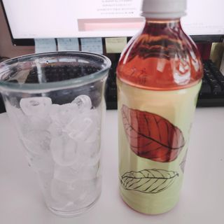 소담스퀘어 상암 제로카페인x제로칼로리 제주 유기농 유이크 구아바잎차 500ml x 6개입 (1박스) — 5점을 준 리뷰어가 2022년 11월 올린 사용 사진