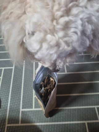 [보헤리] 국내산 강아지 육포간식 바삭 64 2종 — 5점을 준 리뷰어가 2022년 3월 올린 사용 사진