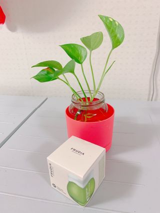 [후르디아] 민감피부 수분크림 비건 아보카도 크림 — 5점을 준 리뷰어가 2022년 8월 올린 사용 사진