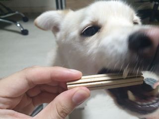 페페로니 2종 세트 클린플러스 덴탈껌 치킨+덕 — 5점을 준 리뷰어가 2021년 8월 올린 사용 사진