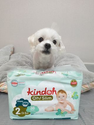 뽀야님이 올린 리뷰 사진 2