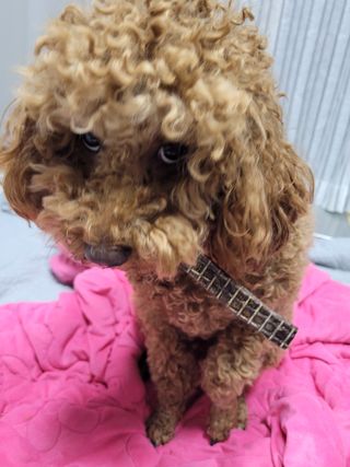 sssee님이 올린 리뷰 사진 3