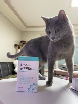 프리마인 유산균 국가지정연구소 선정, 살아있는 생유산균 200억 마리의 힘. 유산균n굿바이옴플러스 — 5점을 준 리뷰어가 2021년 11월 올린 사용 사진