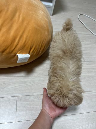 안늉숭늉님이 올린 리뷰 사진 4