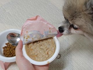 정현님이 올린 리뷰 사진 1