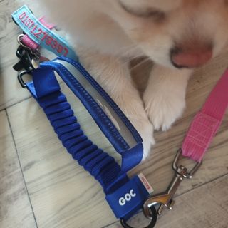 bangwoori님이 올린 리뷰 사진 2