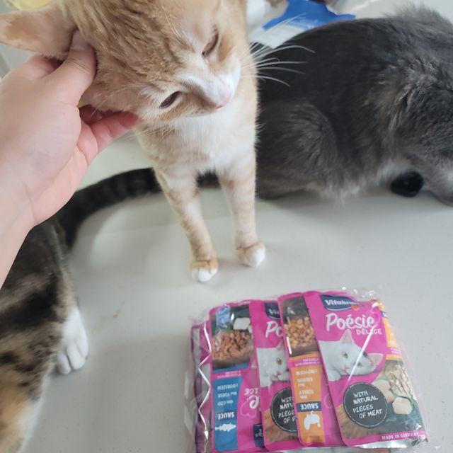비타크래프트 포에시 델리스 고양이 파우치 85g 9가지맛 1팩씩 리뷰 사진