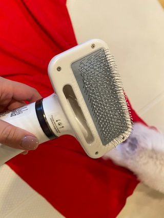 아베크 펫 강아지 고양이 애견 에어 브러쉬 드라이기 올인원 — 5점을 준 리뷰어가 2021년 7월 올린 사용 사진