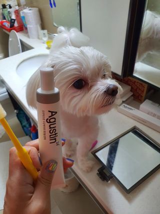단츄♡님이 올린 리뷰 사진 1