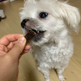 ZiunYang님이 올린 리뷰 사진 1