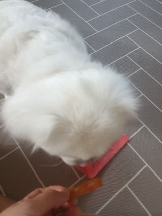 페키아름님이 올린 리뷰 사진 4