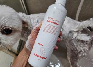 [댕모어 샴푸 2종] 댕샴푸 / 퍼피샴푸  2종 세트 (300ml) — 5점을 준 리뷰어가 2023년 8월 올린 사용 사진