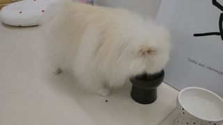sunny님이 올린 리뷰 사진 3
