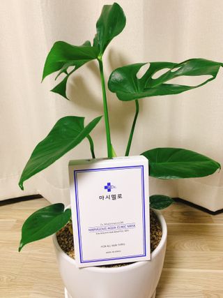 닥터마시멜로 닥터마스멜로 마블러스 아쿠아 클리닉 마스크 — 5점을 준 리뷰어가 2021년 6월 올린 사용 사진