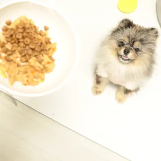 오코리타님이 올린 리뷰 사진 2