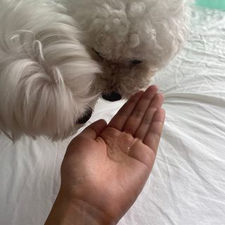 bongdam님이 올린 리뷰 사진 3