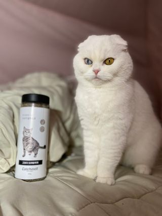 화이집사님이 올린 리뷰 사진 1