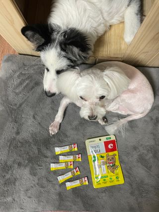 달콩리치님이 올린 리뷰 사진 2