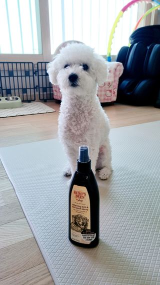 아공별이님이 올린 리뷰 사진 3