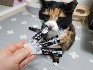 솔탄이love님이 올린 리뷰 사진 3