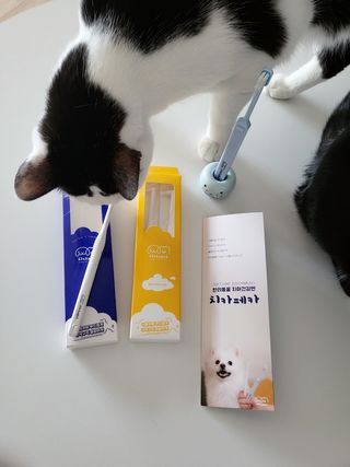 으나님이 올린 리뷰 사진 2