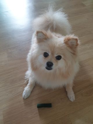 맹고님이 올린 리뷰 사진 2
