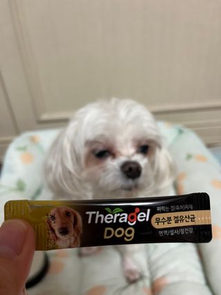 O_zl님이 올린 리뷰 사진 3