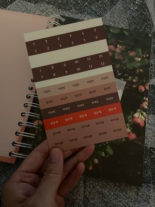 사과어매님이 올린 리뷰 사진 2