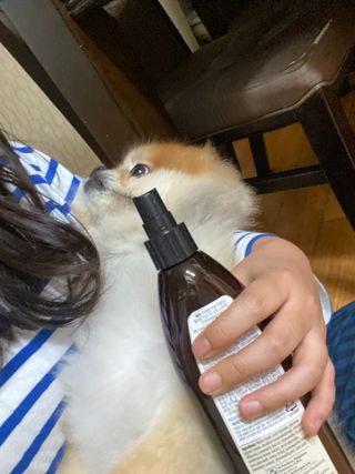 파이누이님이 올린 리뷰 사진 2