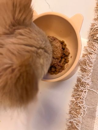 Lucy님이 올린 리뷰 사진 3