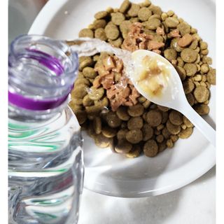 콩콩님이 올린 리뷰 사진 3