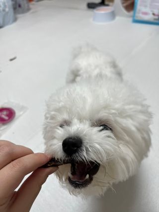 린짱님이 올린 리뷰 사진 3