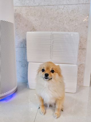롬롬님이 올린 리뷰 사진 2