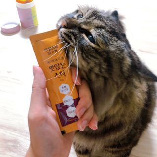 페페로니 맛있는 스틱 - 무항생제 닭고기 15개 + 원양선 참치 15개 — 3.5점을 준 리뷰어가 2021년 8월 올린 사용 사진