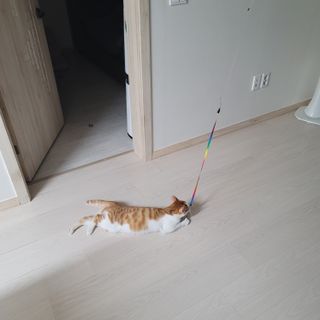 쓔리님이 올린 리뷰 사진 2