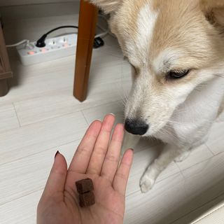 끙님이 올린 리뷰 사진 2