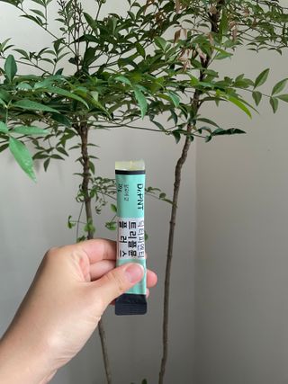 [Dr.PNT] 닥터피엔티 트리플뮨 플러스 [1개월분] — 5점을 준 리뷰어가 2022년 9월 올린 사용 사진