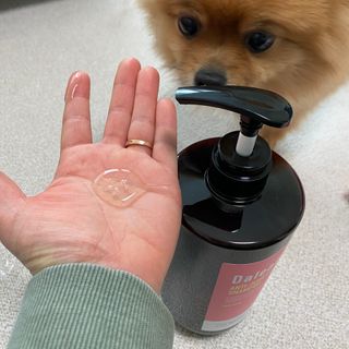 달리프 진저 베러 퍼퓸 탈모 완화 샴푸 1000ml 향 3종 — 5점을 준 리뷰어가 2021년 1월 올린 사용 사진