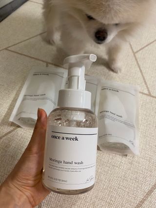 원스어윅 핸드워시 모링가향 본품1 + 리필파우치3 — 5점을 준 리뷰어가 2021년 1월 올린 사용 사진