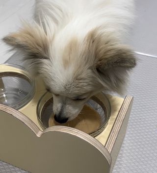 지수님이 올린 리뷰 사진 3