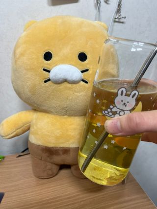 [몽베스트] 위드 더 블랜딩 하우스 _ 버라이어티팩 — 5점을 준 리뷰어가 2022년 12월 올린 사용 사진